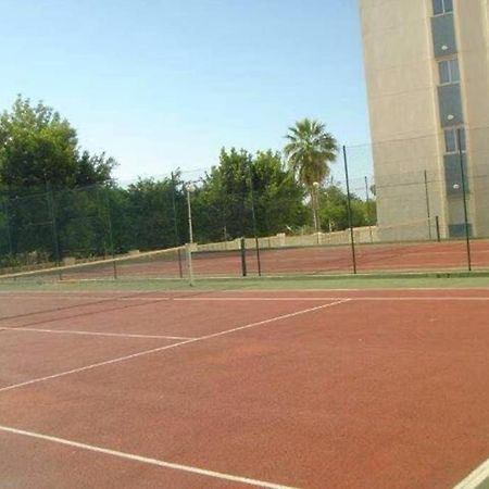 Apartamento Athenea Gandía Exterior foto