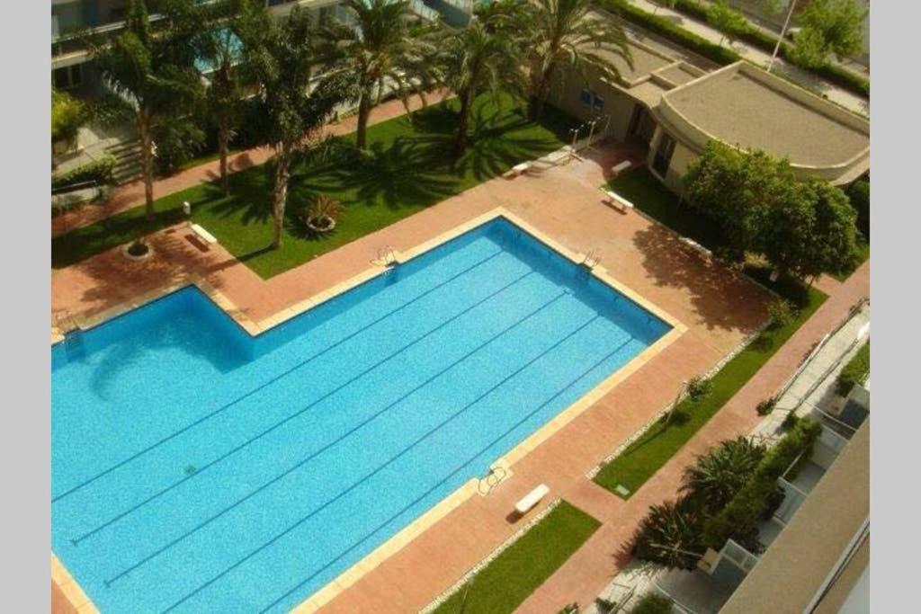 Apartamento Athenea Gandía Exterior foto
